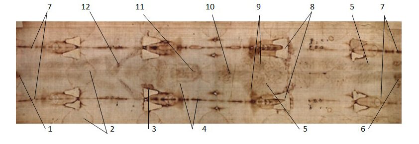 Guide to understand the Holy Shroud